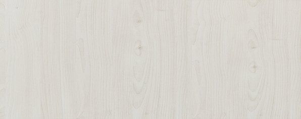 Дверь для шкафа ЛАЙТ23,6х59,6 см ЛДСП цвет Скандинавское белое дерево