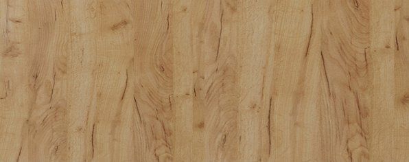 Дверь для шкафа ЛАЙТ23,6х59,6 см ЛДСП цвет Дуб золотой