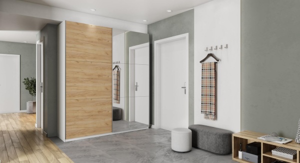 Шкаф-купе с зеркалом ЛАЙТ Е2, 220х160х58, ЛДСП, Дуб золотой, с полками и штангами