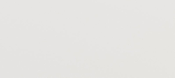 Дверь для ящика ЛАЙТ  35,6х79,6 см ЛДСП цвет Белый перламутр