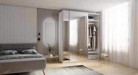 Шкаф-купе с зеркалом ЛАЙТ Е2, 220х120х58, ЛДСП, с полками и штангами